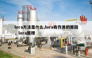 lora方法是什么,lora有作用的原因，lora原理