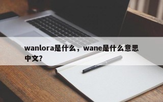 wanlora是什么，wane是什么意思中文？