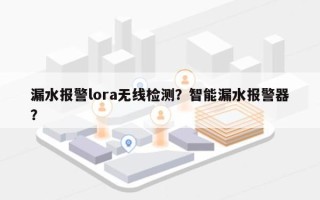 漏水报警lora无线检测？智能漏水报警器？