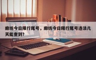 廊坊今日限行尾号，廊坊今日限行尾号违法几天能查到？