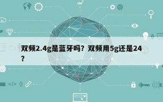 双频2.4g是蓝牙吗？双频用5g还是24？