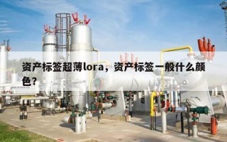 资产标签超薄lora，资产标签一般什么颜色？