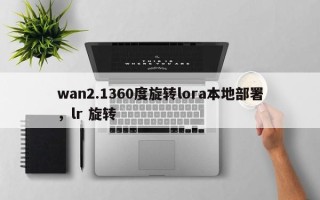 wan2.1360度旋转lora本地部署，lr 旋转