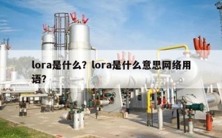 lora是什么？lora是什么意思网络用语？