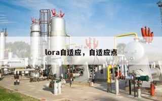 lora自适应，自适应点