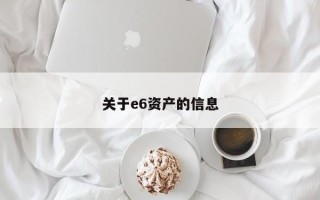 关于e6资产的信息