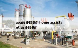 aoa蓝牙网关？home assistant 蓝牙网关？