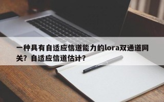 一种具有自适应信道能力的lora双通道网关？自适应信道估计？