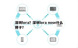 深圳lora？深圳lora nose什么牌子？