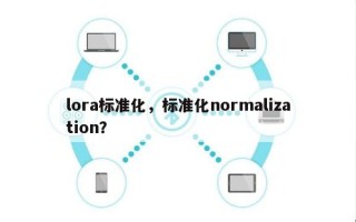 lora标准化，标准化normalization？