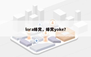 lora蜂窝，蜂窝yoke？