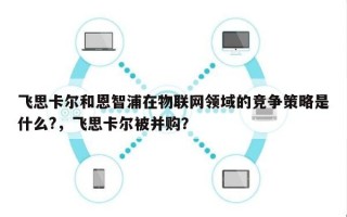 飞思卡尔和恩智浦在物联网领域的竞争策略是什么?，飞思卡尔被并购？
