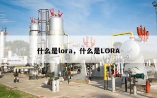 什么是lora，什么是LORA