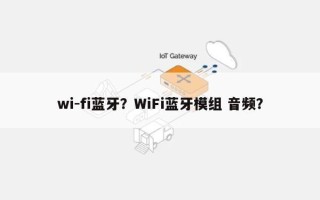 wi-fi蓝牙？WiFi蓝牙模组 音频？