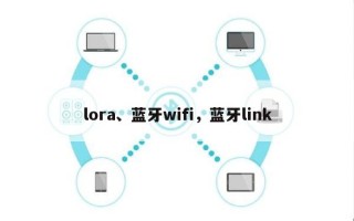 lora、蓝牙wifi，蓝牙link