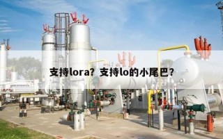 支持lora？支持lo的小尾巴？