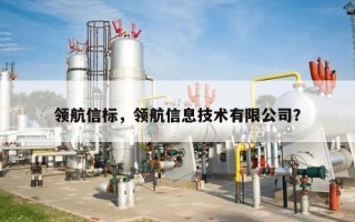领航信标，领航信息技术有限公司？