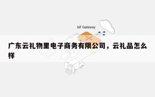 广东云礼物里电子商务有限公司，云礼品怎么样