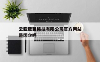 云粒智慧科技有限公司官方网站，云粒智慧是国企吗
