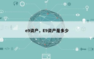 e9资产，E9资产是多少