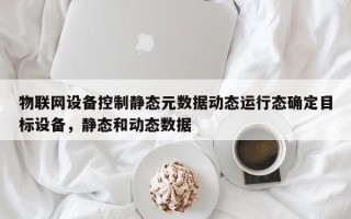 物联网设备控制静态元数据动态运行态确定目标设备，静态和动态数据