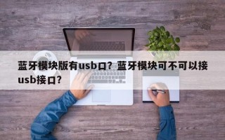 蓝牙模块版有usb口？蓝牙模块可不可以接usb接口？