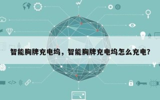 智能胸牌充电坞，智能胸牌充电坞怎么充电？