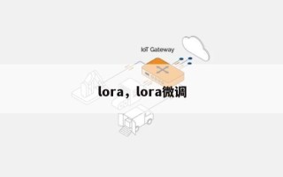 lora，lora微调