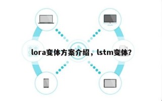 lora变体方案介绍，lstm变体？