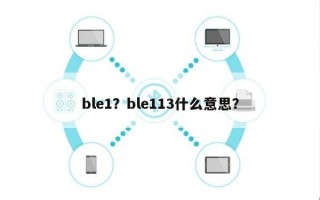 ble1？ble113什么意思？