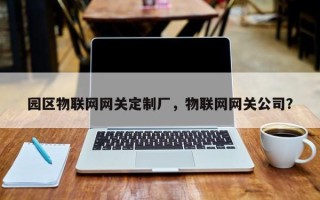 园区物联网网关定制厂，物联网网关公司？