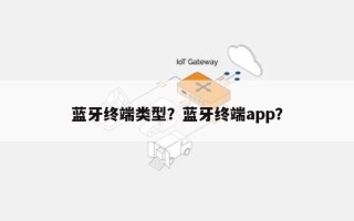 蓝牙终端类型？蓝牙终端app？