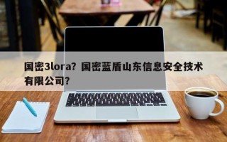 国密3lora？国密蓝盾山东信息安全技术有限公司？