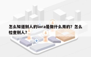 怎么知道别人的lora是做什么用的？怎么检查别人？