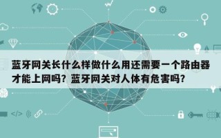 蓝牙网关长什么样做什么用还需要一个路由器才能上网吗？蓝牙网关对人体有危害吗？