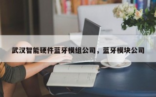 武汉智能硬件蓝牙模组公司，蓝牙模块公司