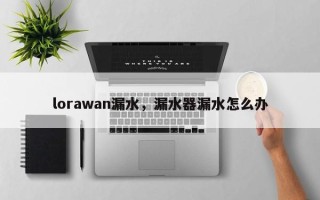 lorawan漏水，漏水器漏水怎么办