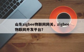 山东zigbee物联网网关，zigbee物联网开发平台？