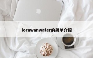 lorawanwater的简单介绍