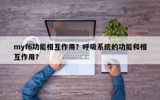 myf6功能相互作用？呼吸系统的功能和相互作用？
