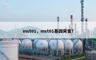 mst01，mst01基因突变？