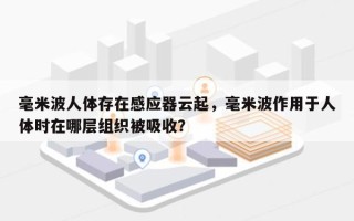 毫米波人体存在感应器云起，毫米波作用于人体时在哪层组织被吸收？