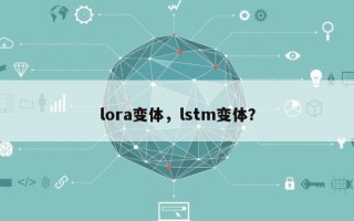 lora变体，lstm变体？