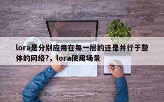 lora是分别应用在每一层的还是并行于整体的网络?，lora使用场景