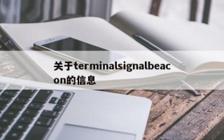 关于terminalsignalbeacon的信息