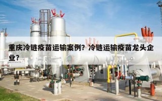 重庆冷链疫苗运输案例？冷链运输疫苗龙头企业？