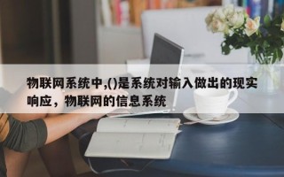 物联网系统中,()是系统对输入做出的现实响应，物联网的信息系统