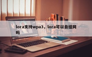 lora支持wpa3，lora可以自组网吗