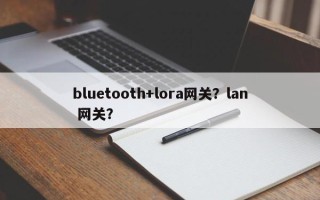 bluetooth+lora网关？lan 网关？