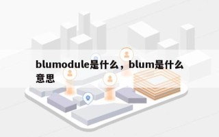blumodule是什么，blum是什么意思
